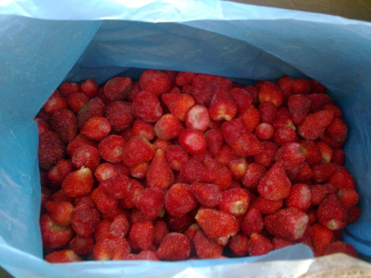 Bulk New Frozen Ball Store Whole Strawberry Fruit From Egypt For Export