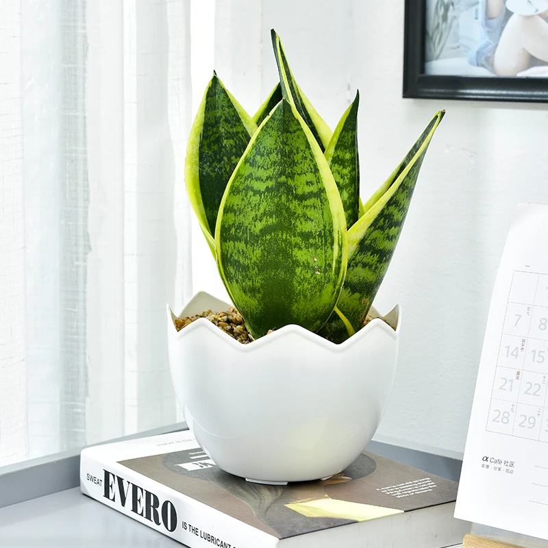 Knitted Flower Rose Flower Sunflower Tulips Daisy Pot Wedding Party Decoration Plastic Logo Customized Europe Smooth 60pcs/ctn