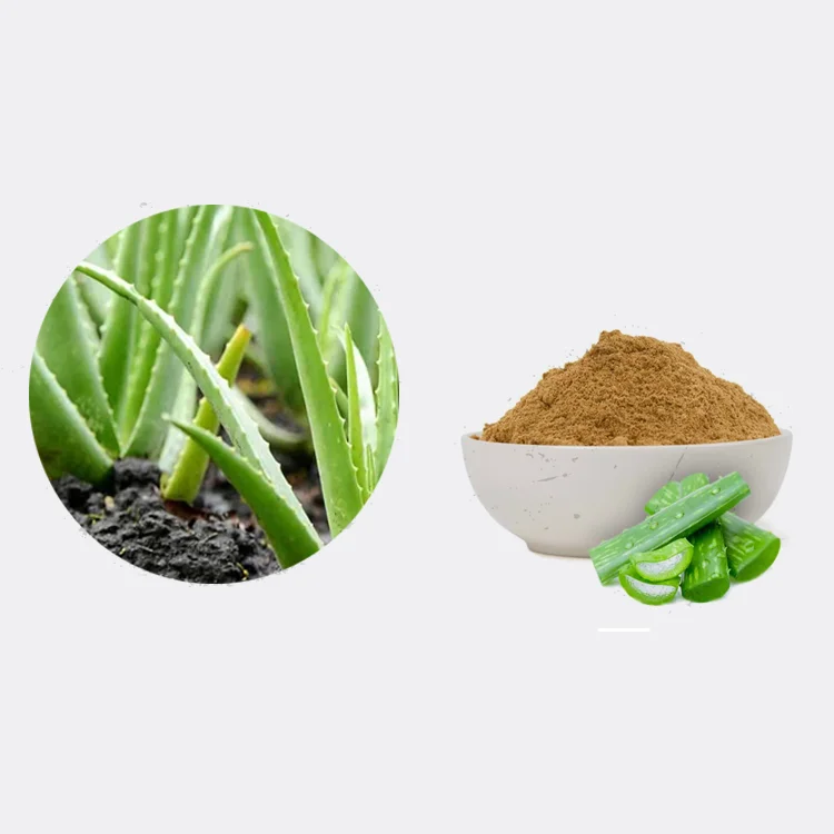 
Порошок с экстрактом алоэ вера, противовоспалительный и успокаивающий, в основном от кишечника 