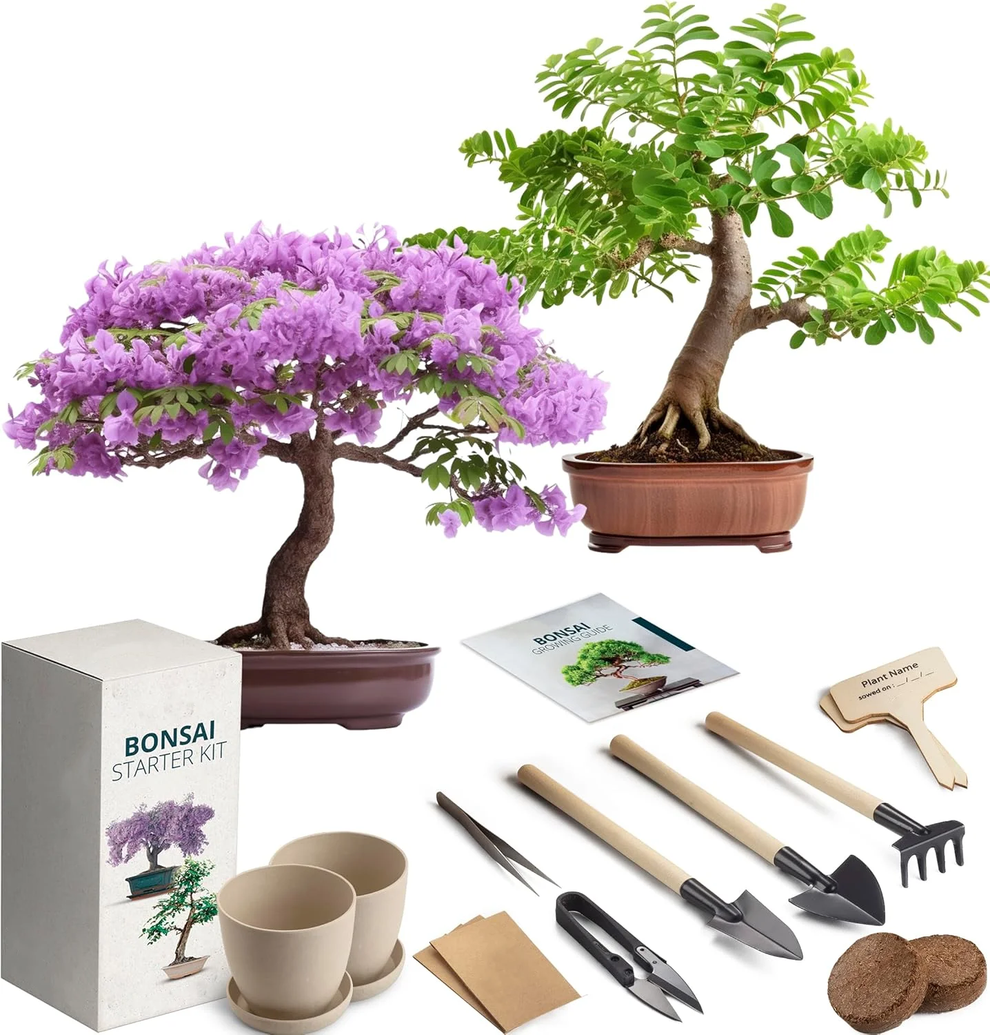 Bonsai Tree Grow Kit Original Price Seeds Mini Bonsai Tools Nutrition Soil Customization