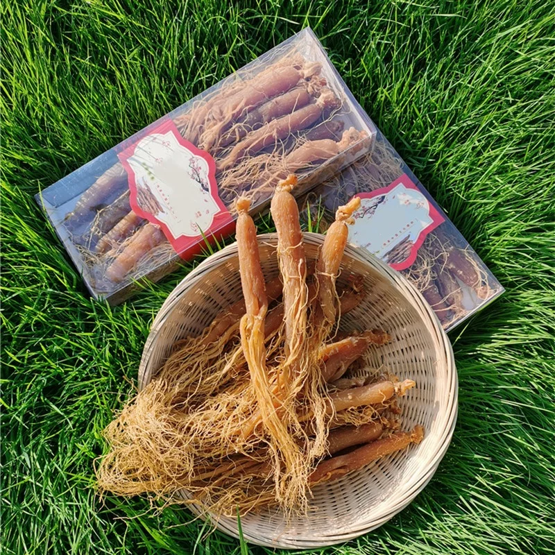 1011 Hong Shen Best Price Herbal Tea Red Korean Panax  Ginseng Root