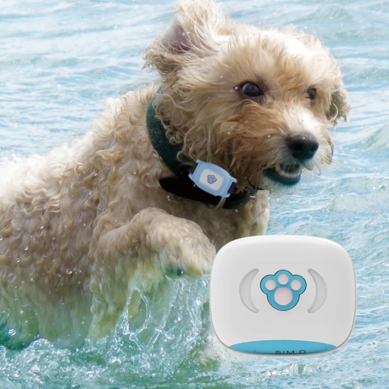 Pet Gps Tracker Without Sim Card Dog Gps Tracker 4G Gps Tracker For Pets