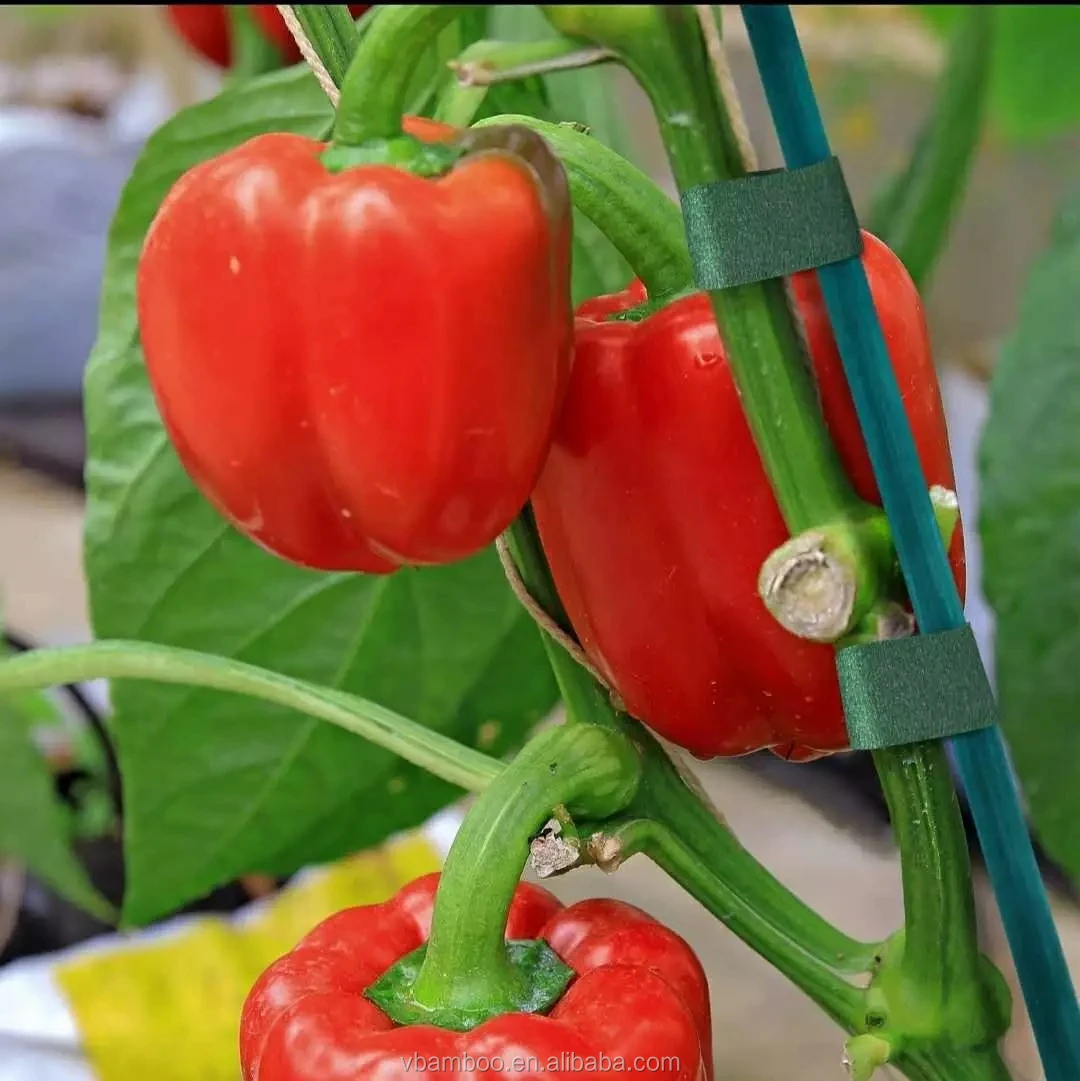 flower sticks 003.jpg