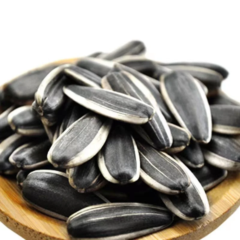 Hot sale high quality cheap price sunflower seeds for export