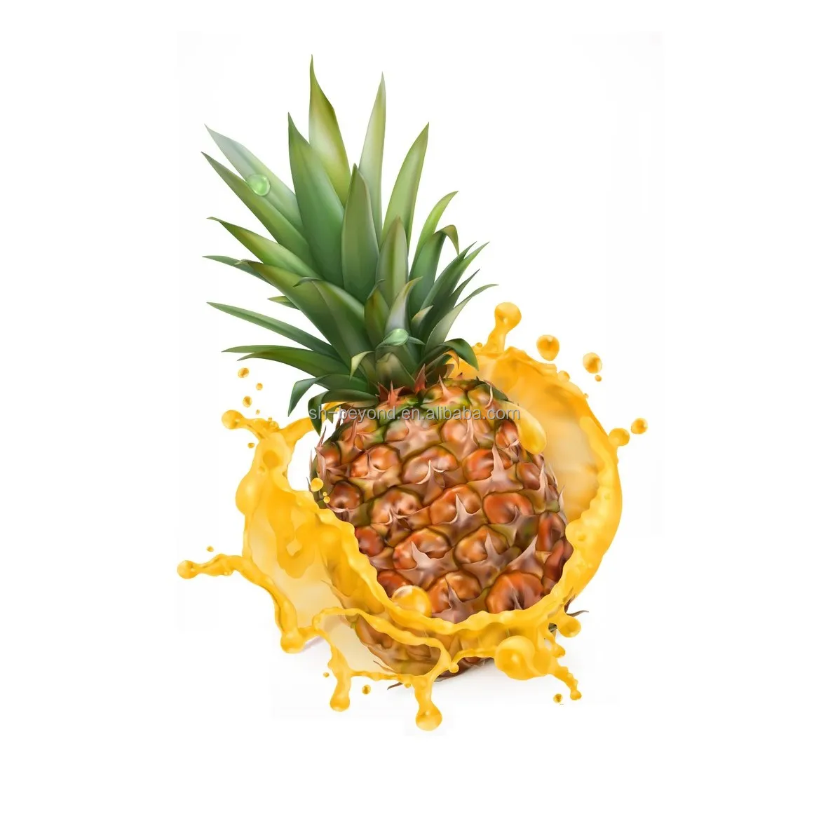 Pineapple processing plant pineapple processing machine pineapple juice processing