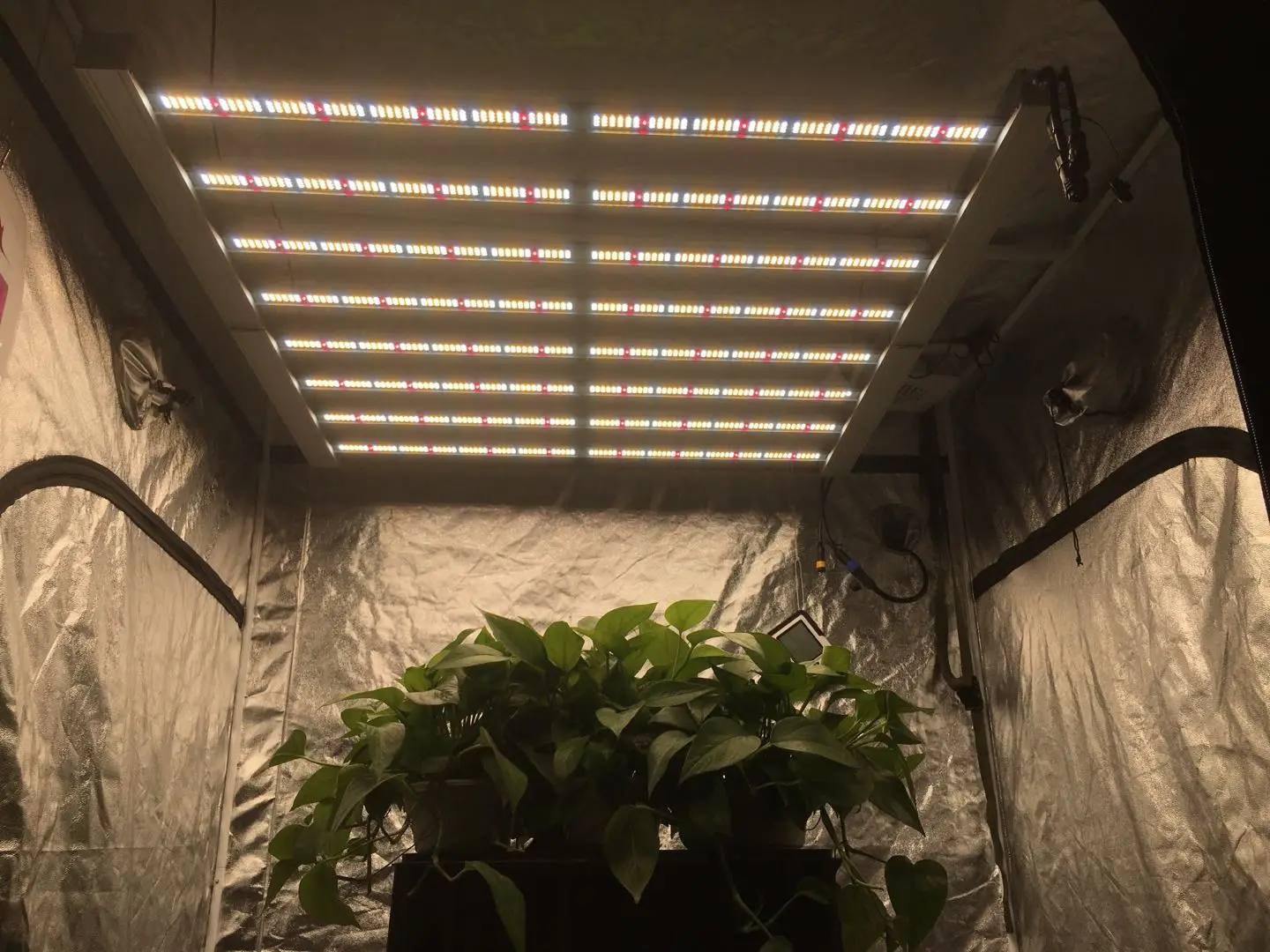 Foldable 660W Horticulture plant osram chips grow light LED bar grow lighting for grow tent