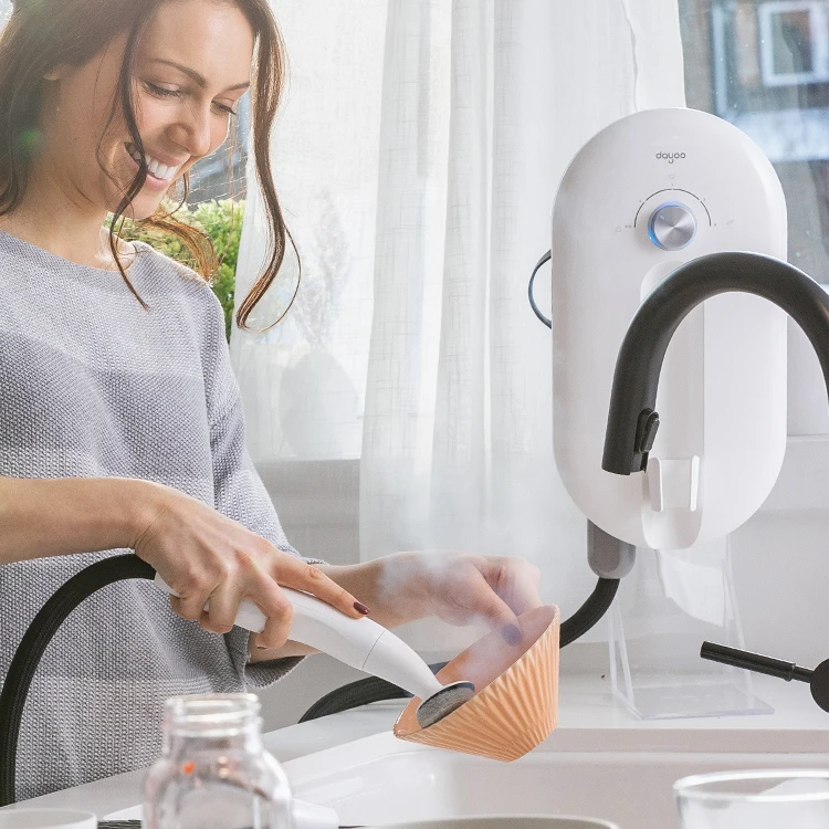 Dayoo household mini car cleaner kitchen dishwasher wholesale price portable home dish washer high pressure handheld steamer