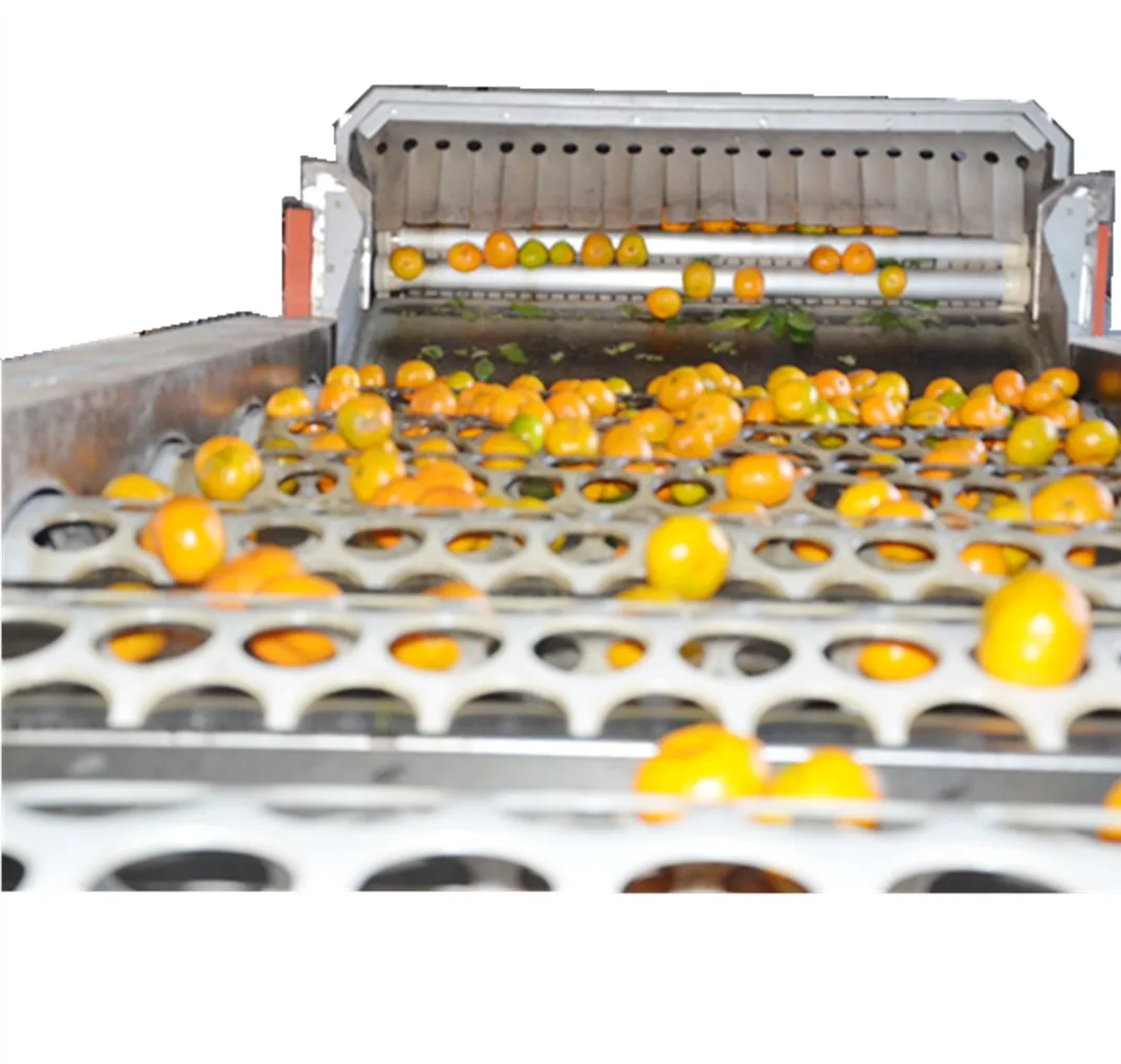citrus graded waxing line orange drum classifier  grading machine