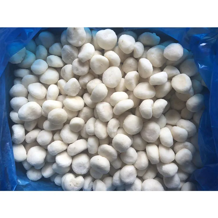 
new crop fresh canned water chestnuts 2950g 