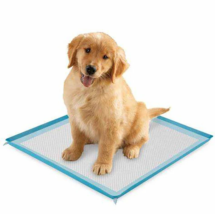 Extra large pet training and puppy pads pee pads