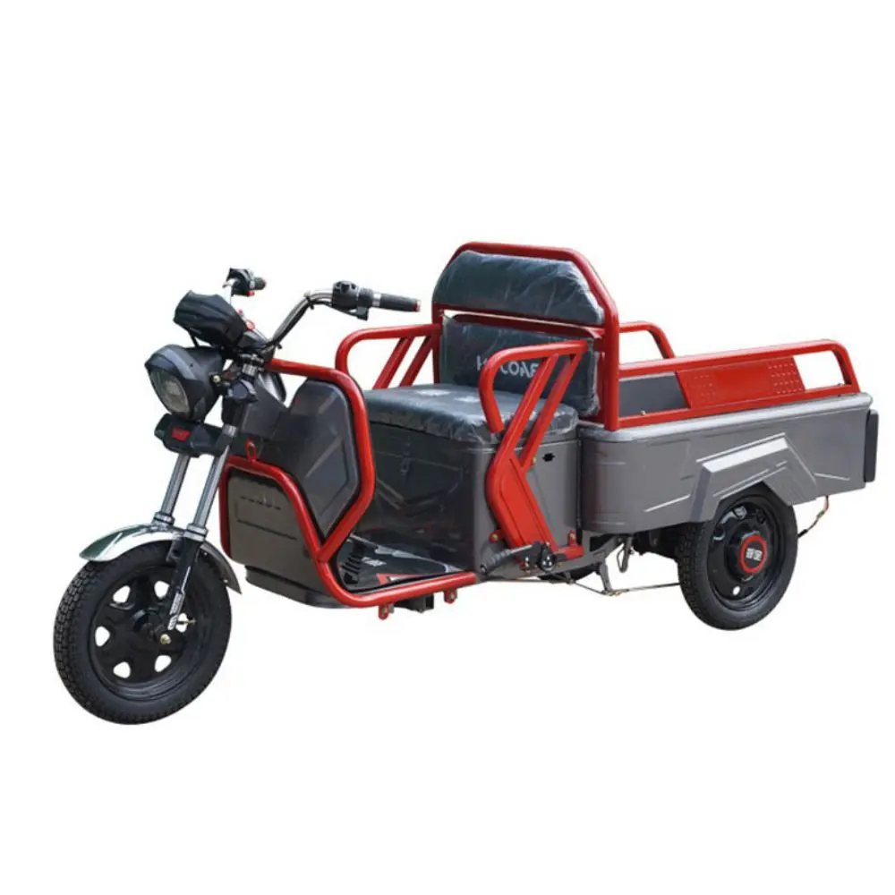 Cargo scooter 650w electric three wheeled tricycle heavy delivery mountain climbing with 1.1M electric vehicle delivery box