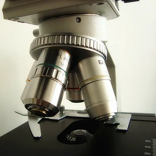 binocular microscope biological video microscope microscope with CCD camera