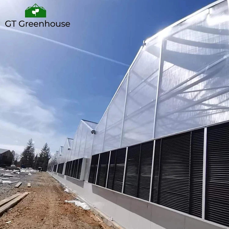 GT blackout system green house black out fully automated light dep greenhouse