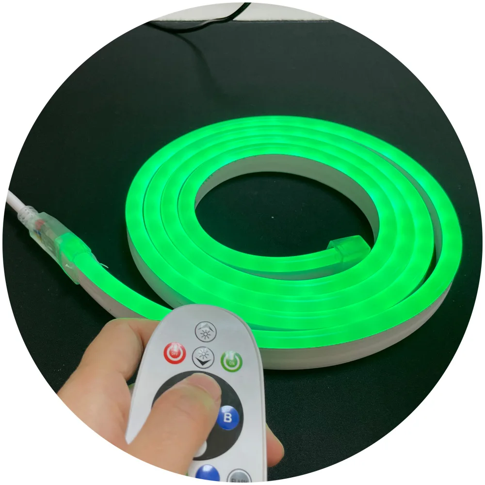 10x20mm PVC 100M roll waterproof cuttable outdoor building decoration led neon flex rope light 08 16 12v 24v 110v 220v