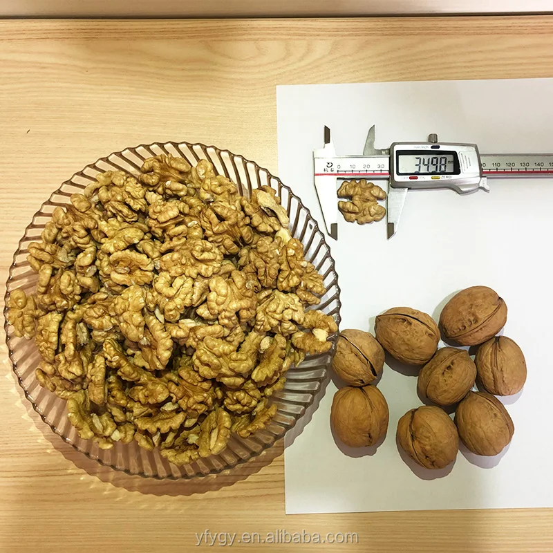  Ядра ореха Xinjiang в
