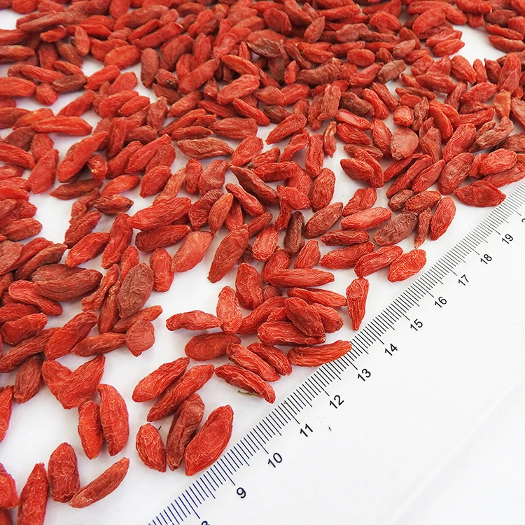 Hot Sale Ningxia High Quality Goji berry