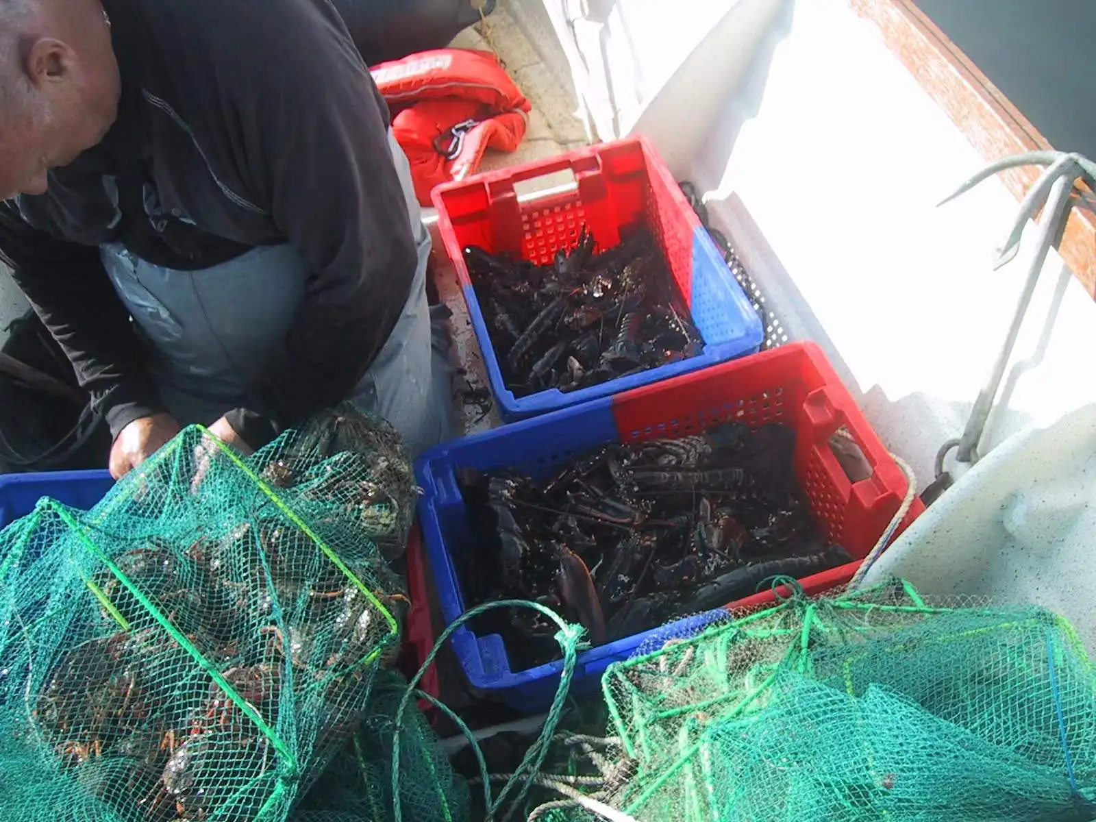 Manufacture crab crayfish trap cage  with frame length 38cm wide 25cmused in sea Lake River agriculture fishing trap