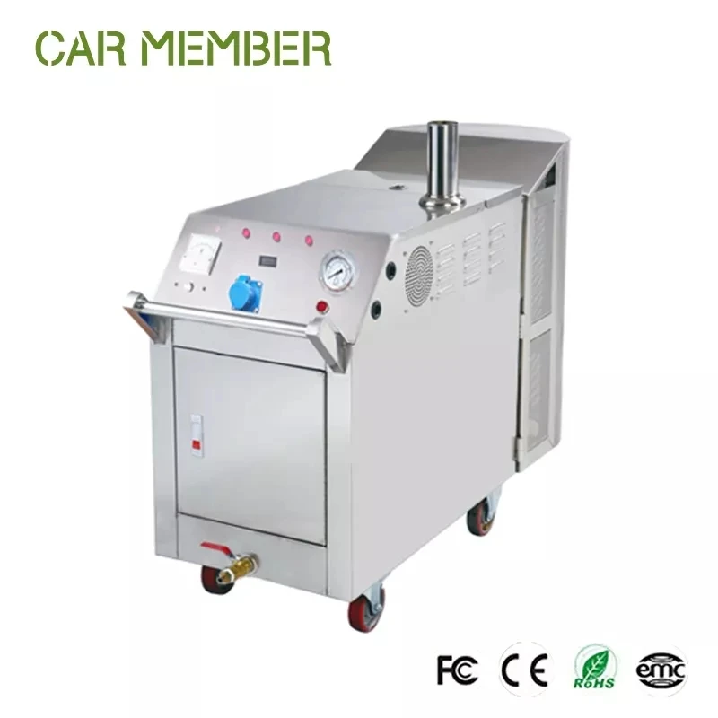 Powerful Waterless LPG Electrical Heating Double Guns Mobile Steam Car Wash Machine For Commercial Use Steamer Car Washer