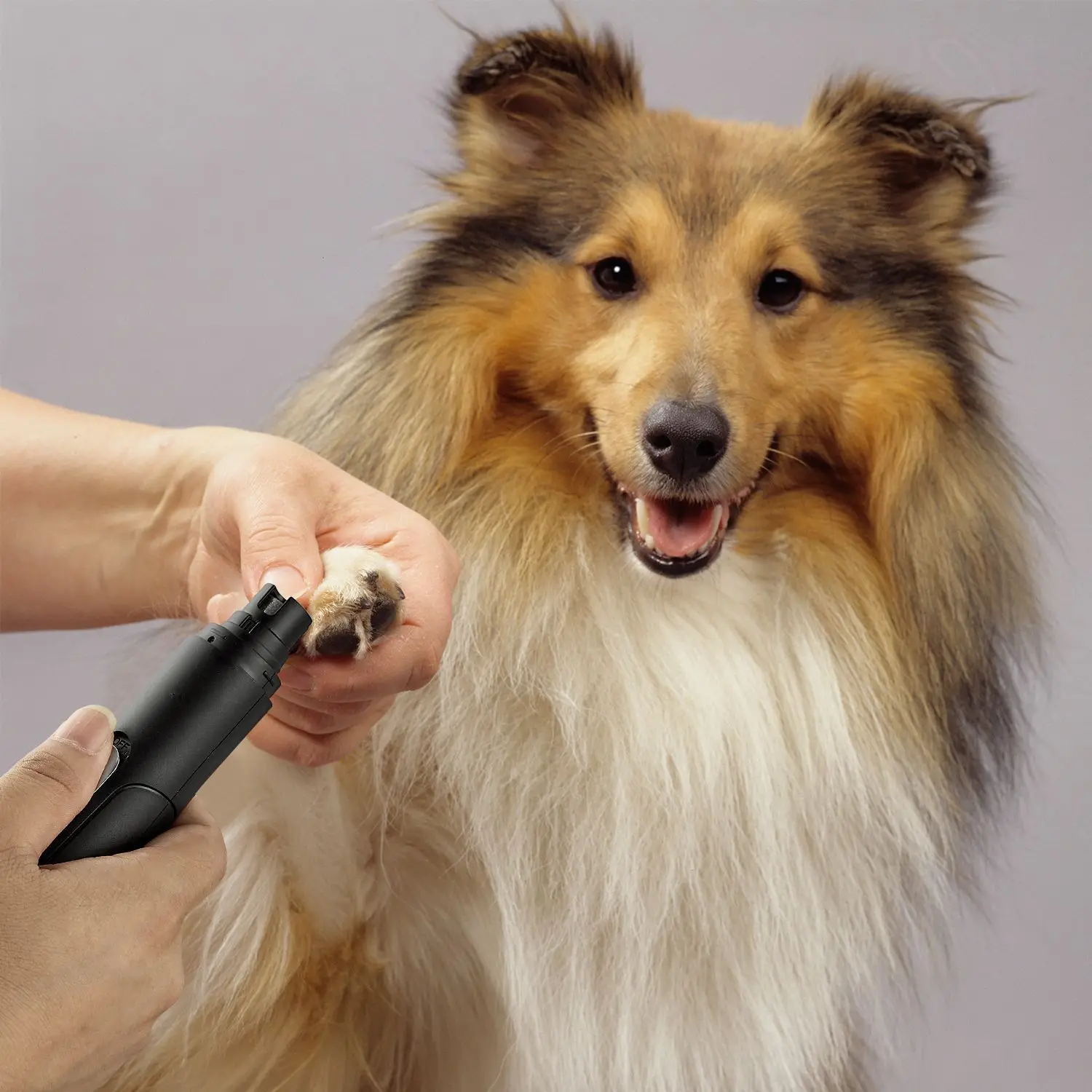 Wholesale Amazon Best Seller USB Low Noise Automatic Pet Nail Grinder Dog Nail Grinder