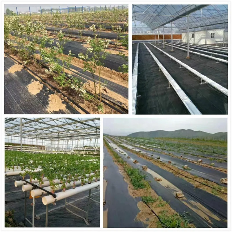 black color Agricultural use plastic cover anti grass cutter tarp