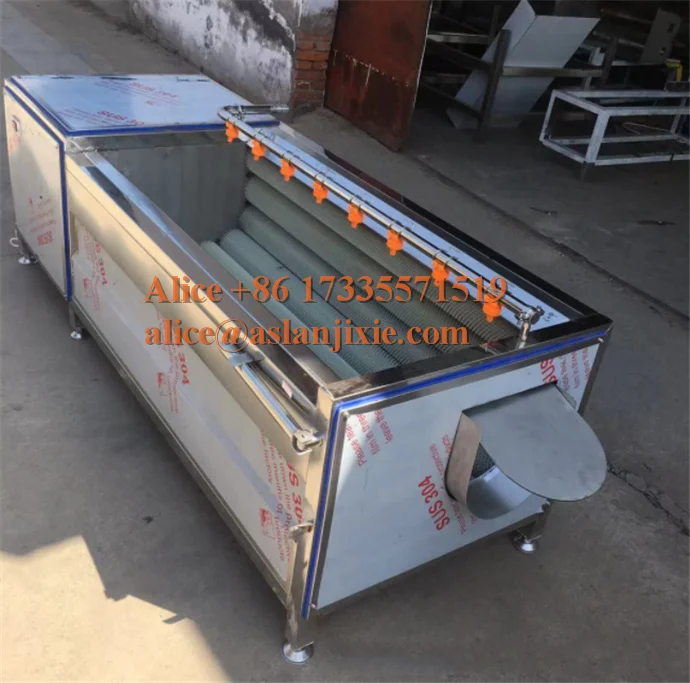 root vegetable skin peeling machine/ carrots hard brush water washing machine