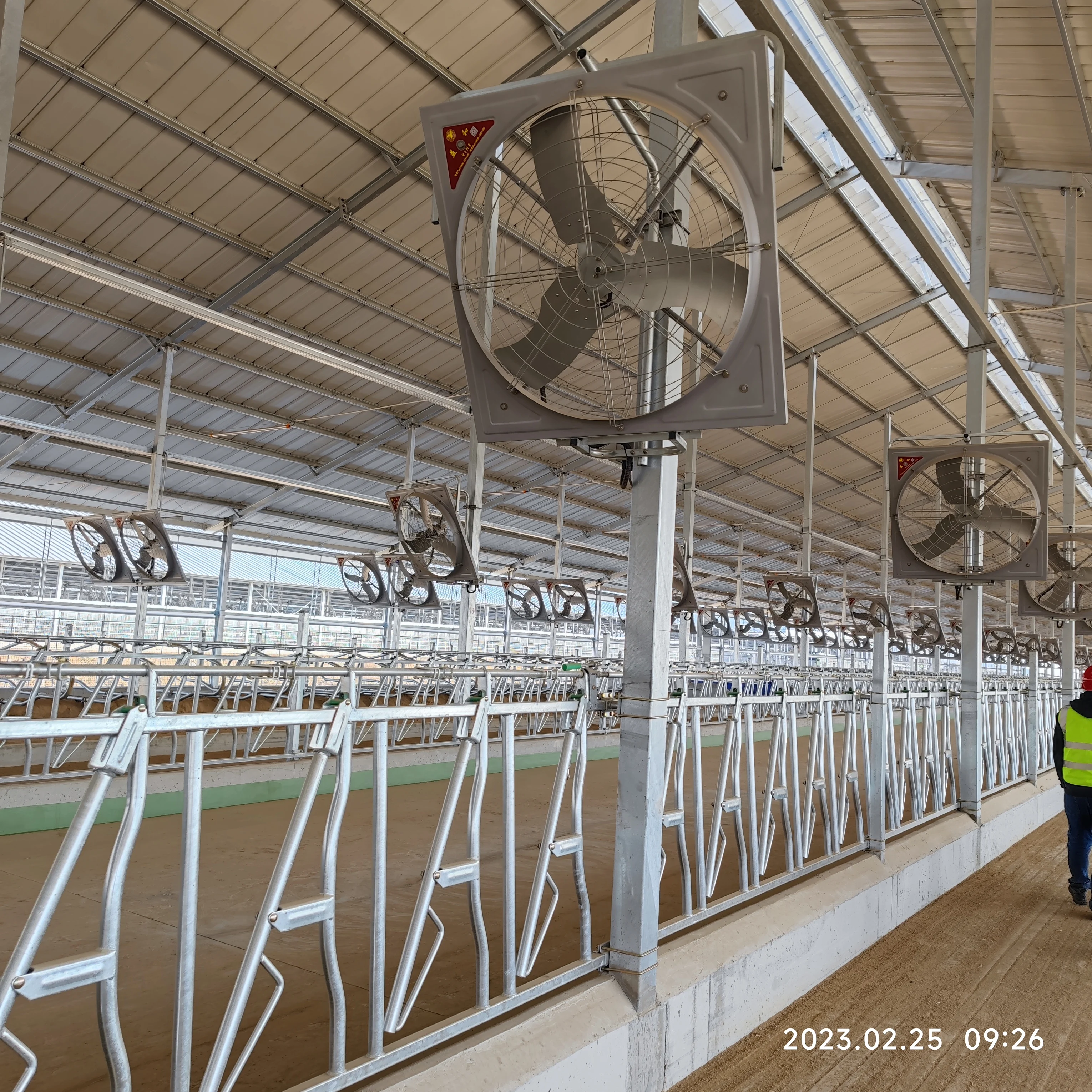 Steel farm house steel structure building for breeding horse goat cow