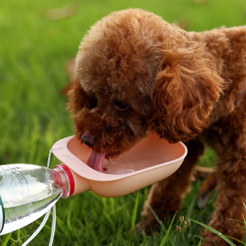 Dog Water Bottle Leak Proof Portable Water Dispenser Outdoor Travel Feeder Puppy Cat Drinking Bowl Pet Product Pet Environmental