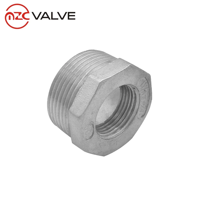 Stainless Steel 316 Pipe Fitting Hex Bushing