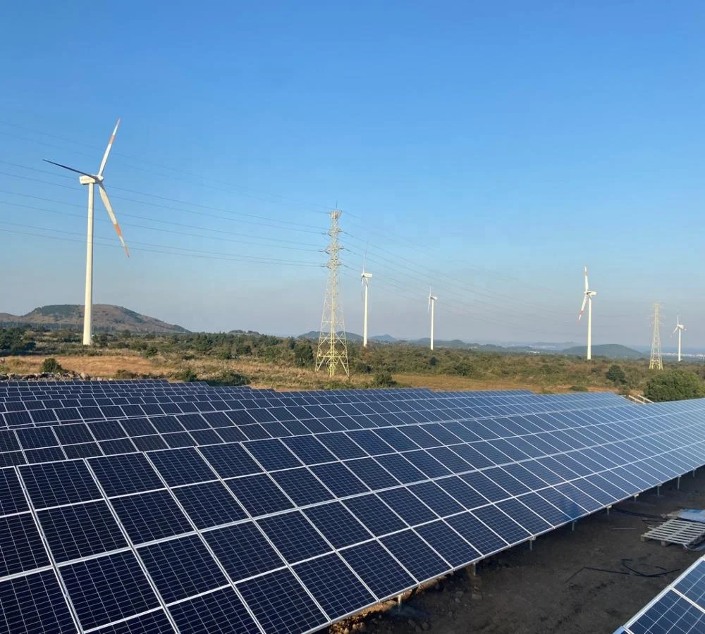 TW P-type Half-cell Monofacial Module 655w 660w 665w 670w 675 solar paneles photovoltaic panel eu solar panels