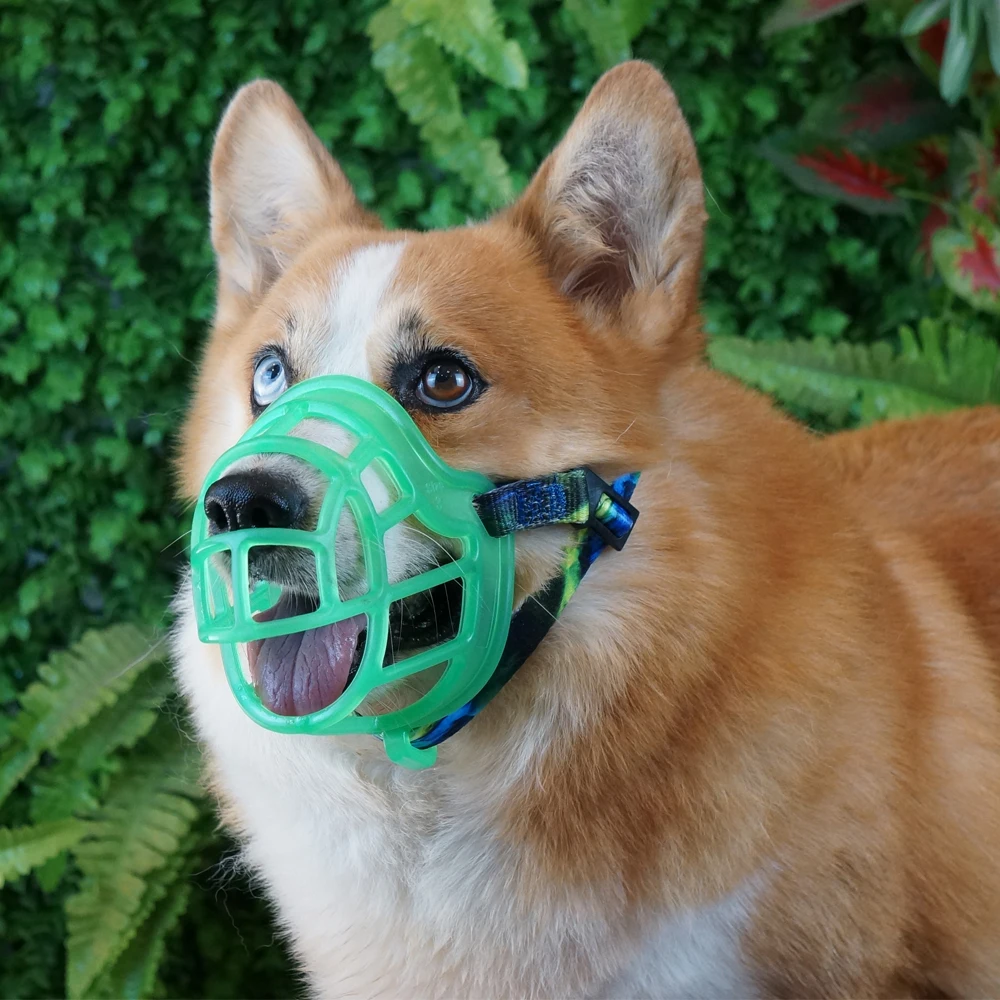 Высококачественный ТПЭ предотвращает укусы, снимает лай, прикрывает наморду собаки