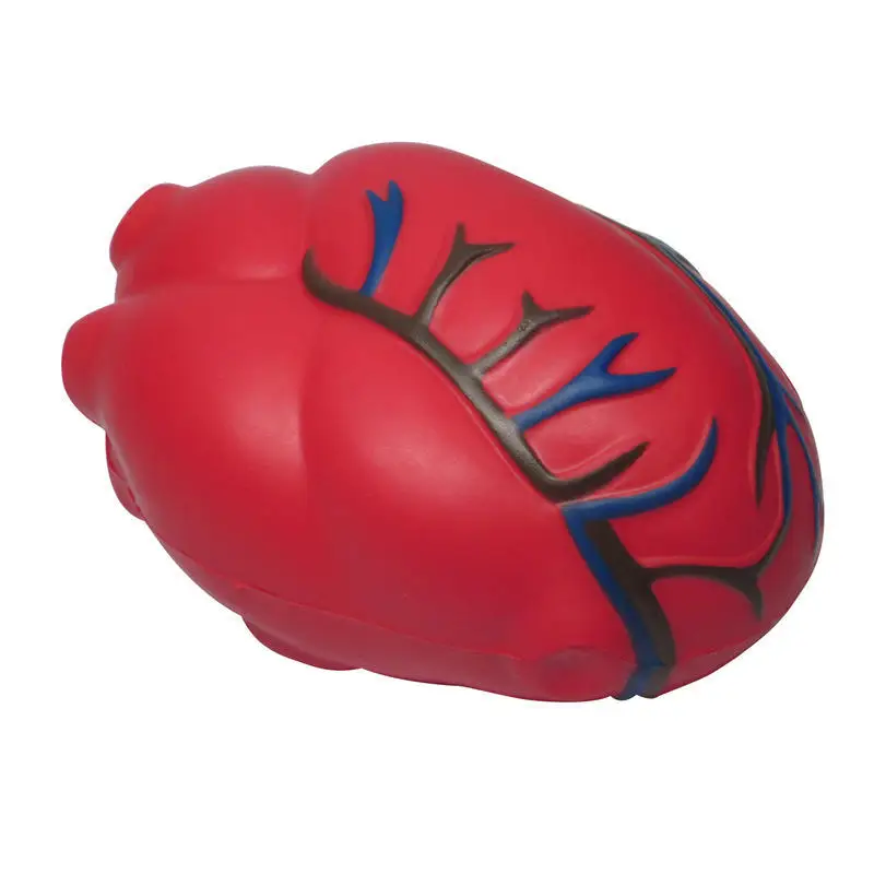 BSBH Promotion Relief Toys PU Foam Heart Organ Stress Ball Anti Stress Heart Toys with Logo for Hospital