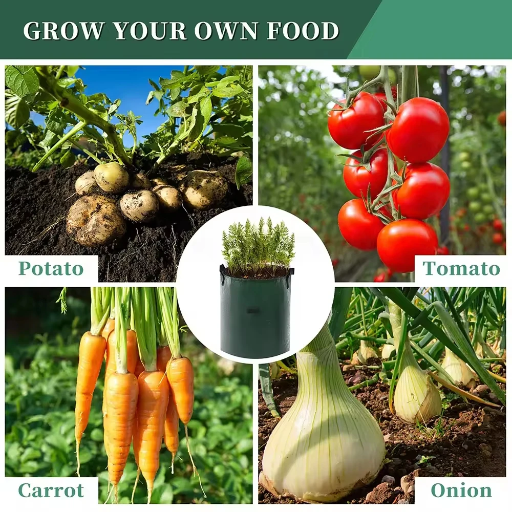 Potato Grow Bags 4 Pack 10 Gallon with Flap and Handles Planter Pots for Onion Fruits Tomato Carrot - Green