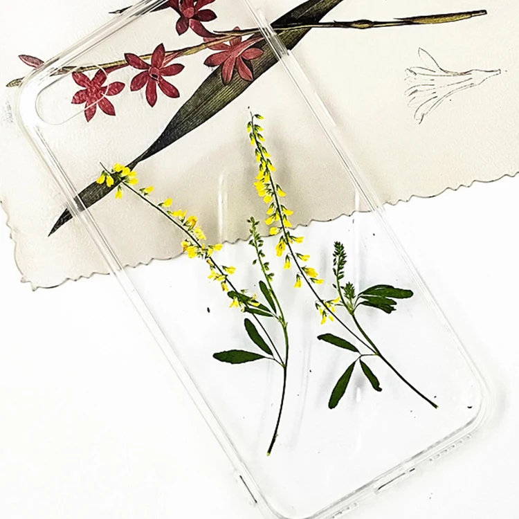 I633 Leaves of Plants Bookmark Decoration Handmade Craft Decoration for Gift Dried Pressed Flowers