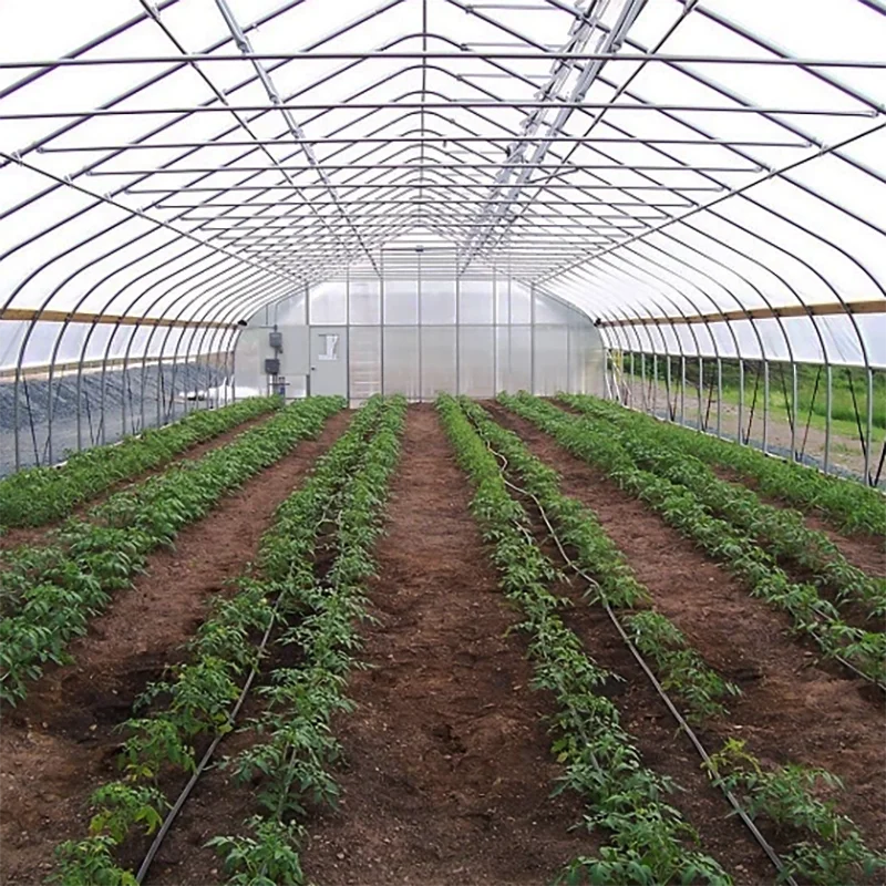 High Tunnel Greenhouse Kit for Strawberry Farming Commercial Agricultural Greenhouse with UV Film Polycarbonate Climate& Systems