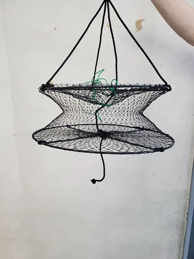 High Quality Shellfish Growing Baskets Various Fish Cage Lobster Trap