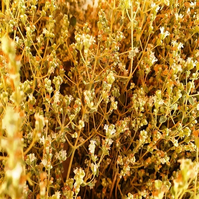 Wild Oregano Oil - Pure 100% from Turkey