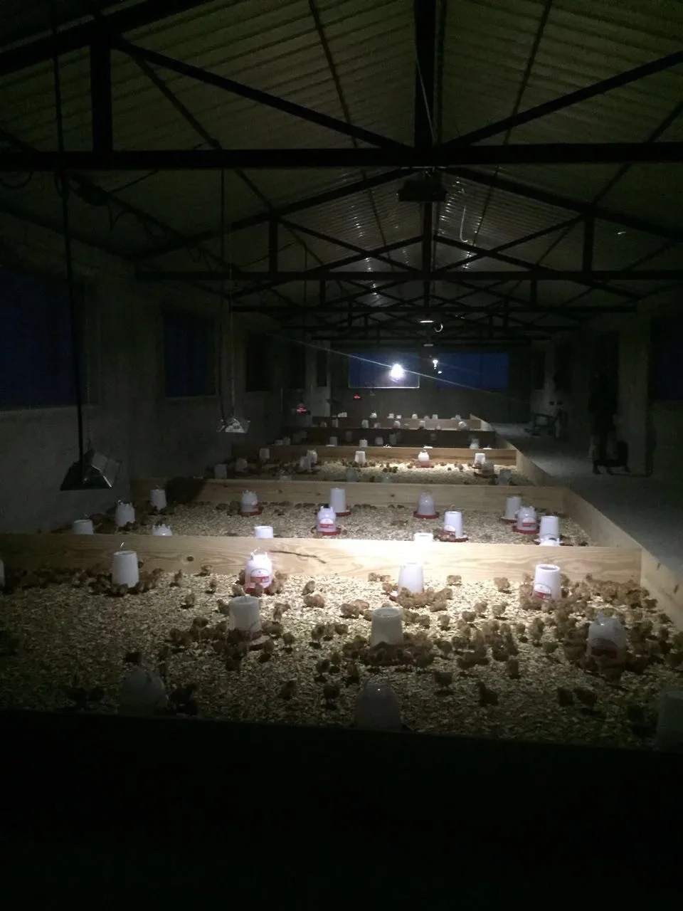 Best Quality Birds &Chicks &Piglet& Poultry Farm &Livestock Fowl Infrared Gas,LPG Heater Brooder Burner THD2606