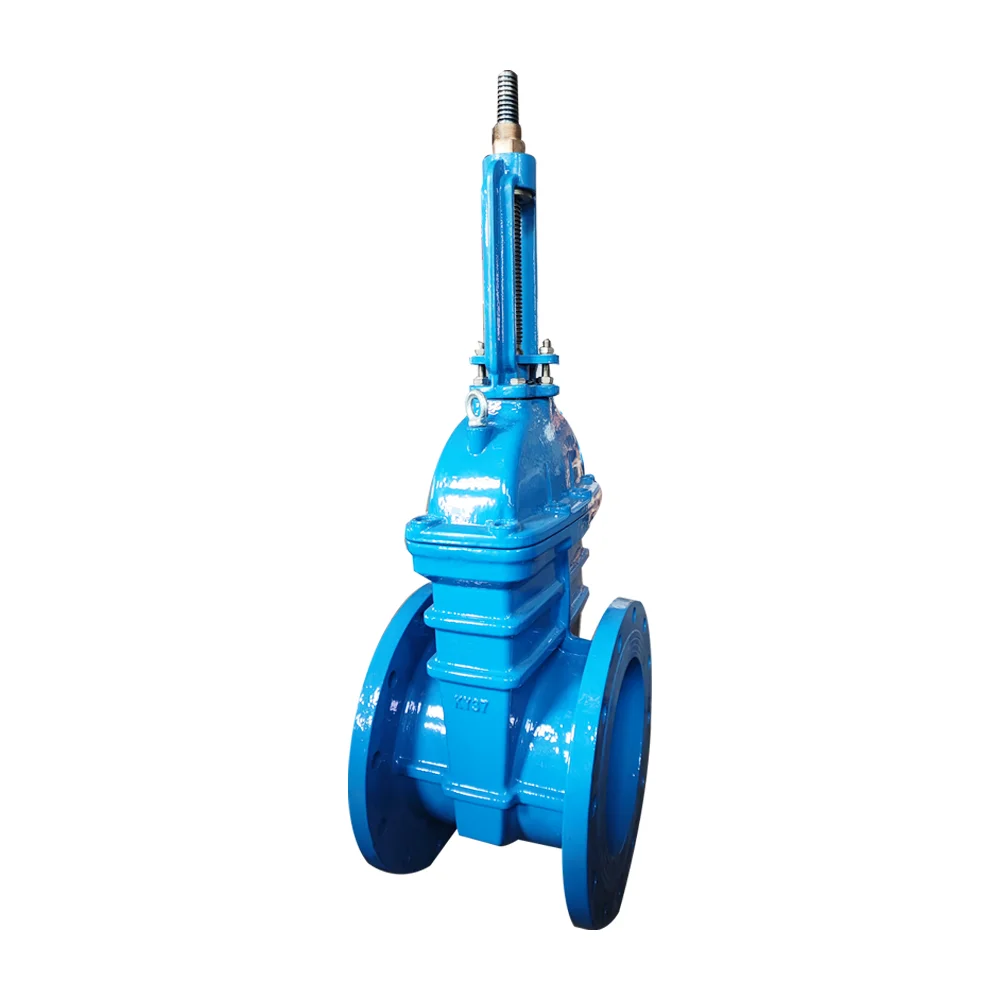 BS5163 Ductile Iron Double Flanged Resilient Seat Gate Valves with Excellent Corrosion Protection Hydraulic Power