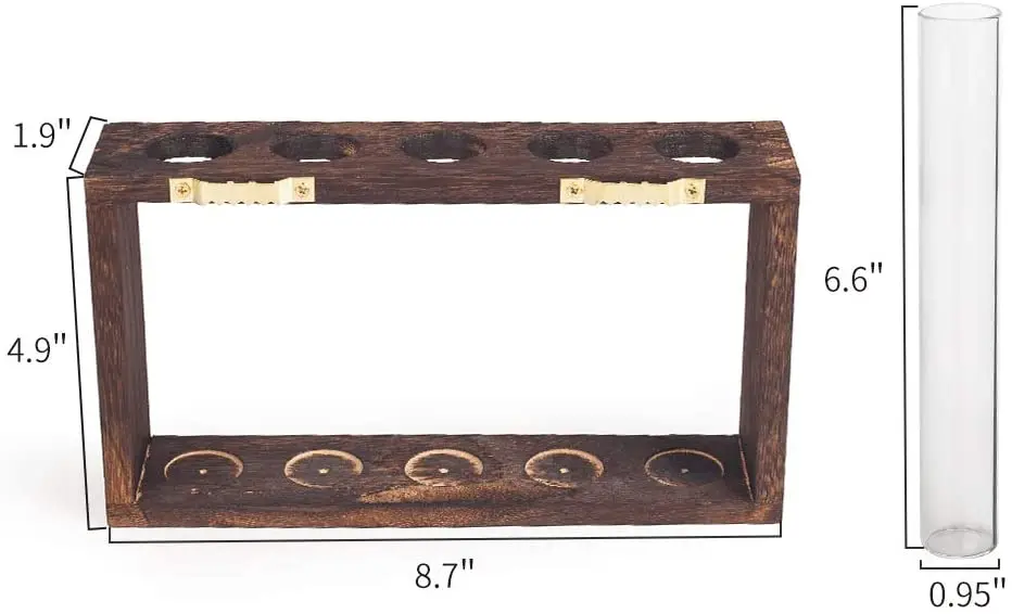 Plant Terrarium with Wooden Stand, Wall Hanging Glass Planter Propagation Station with 5 Test Tube