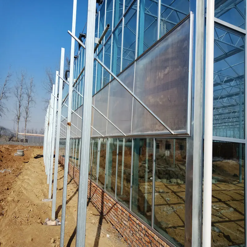 Glass vegetables greenhouse steel frame