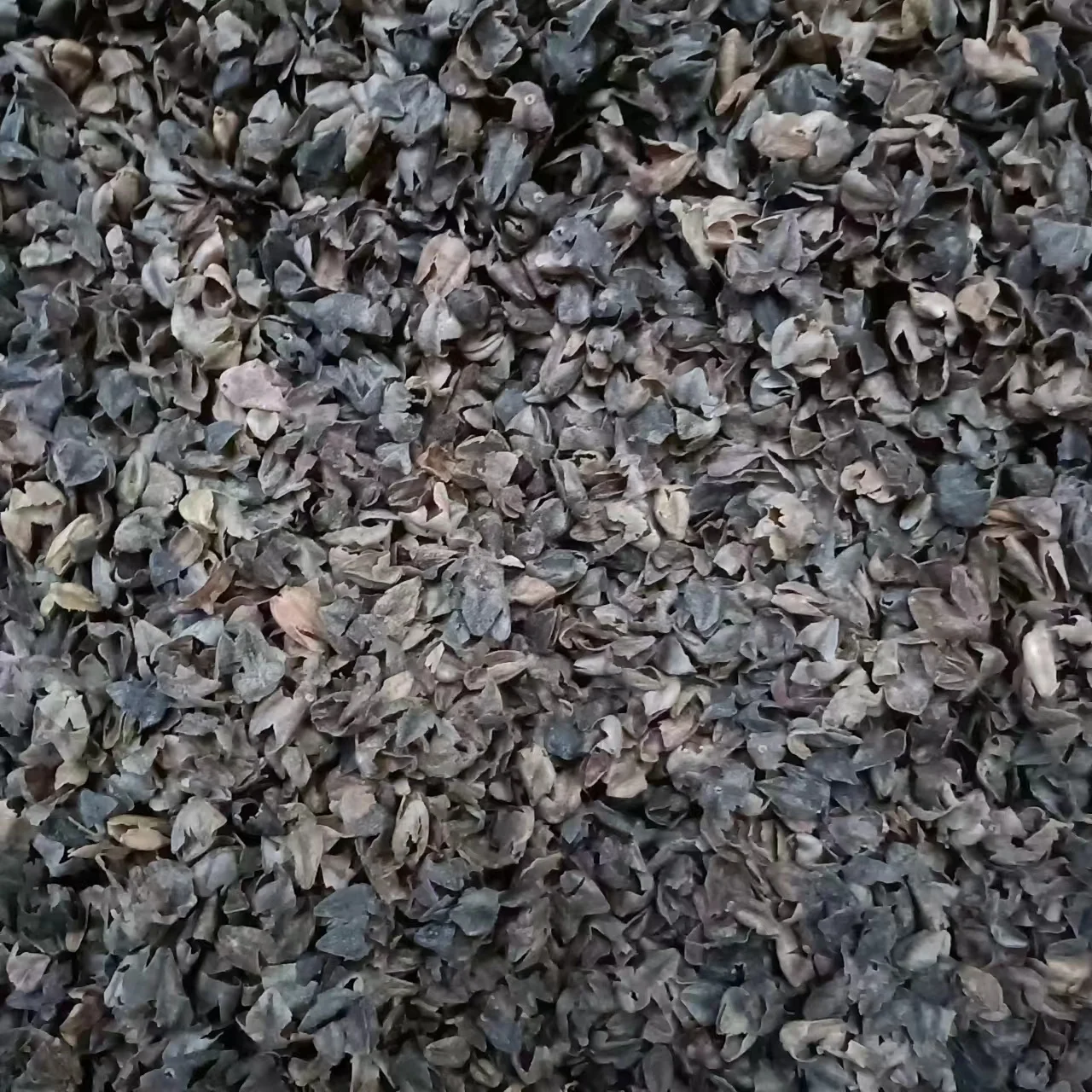 Filling Pillow Organic Raw And Roasted Bitter Tartary Buckwheat Hull Shell Bulk Buckwheat Hulls