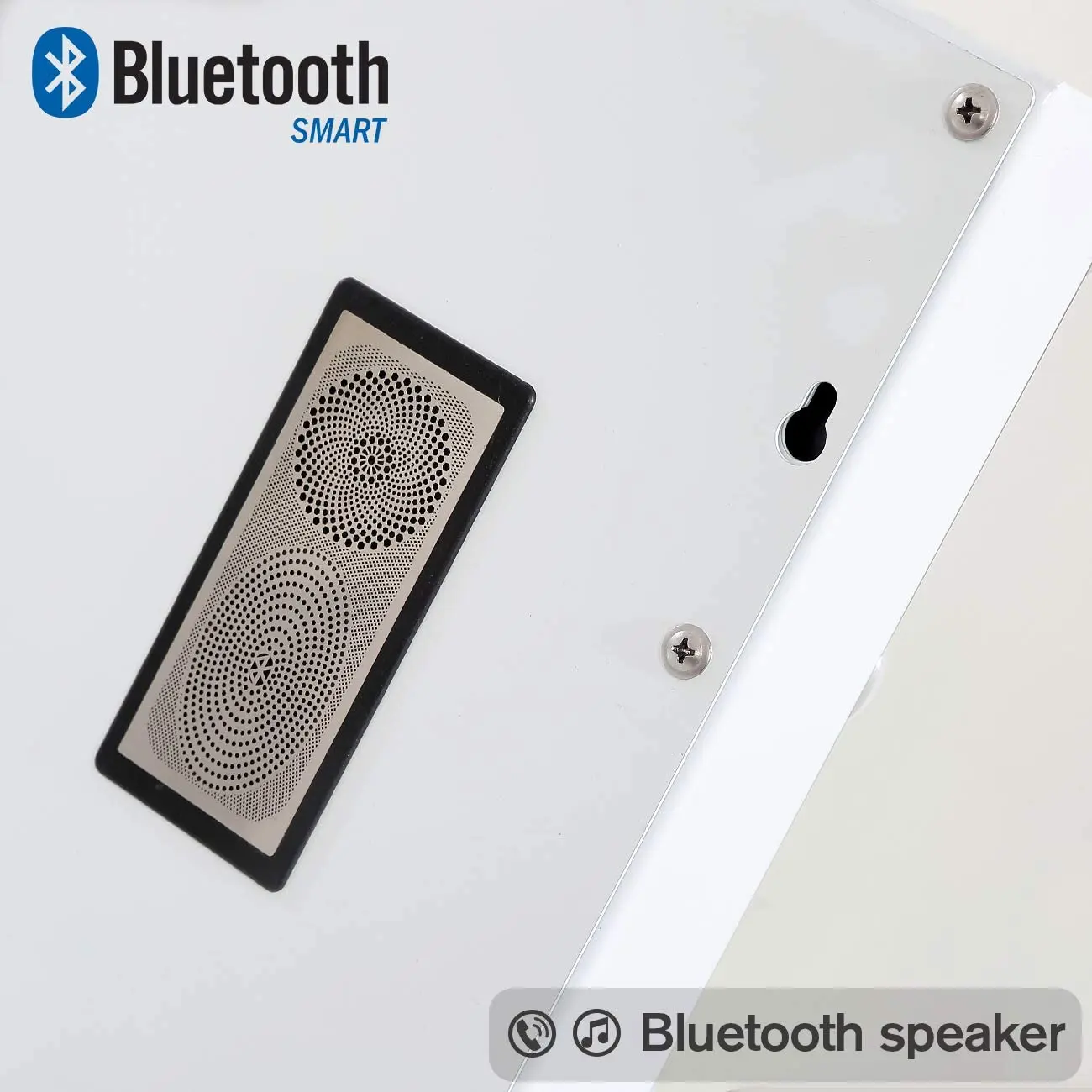 Wall Mounted Or Standing Large Hollywood Make up Mirror Led  Vanity Mirror with Speaker And Protective Power USB Charging Port