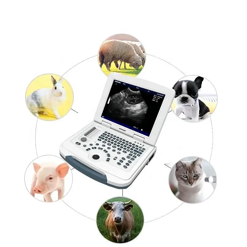 Dawei MU10 Portable Ultrasound machine for cow/horse /pig/sheep pregnancy