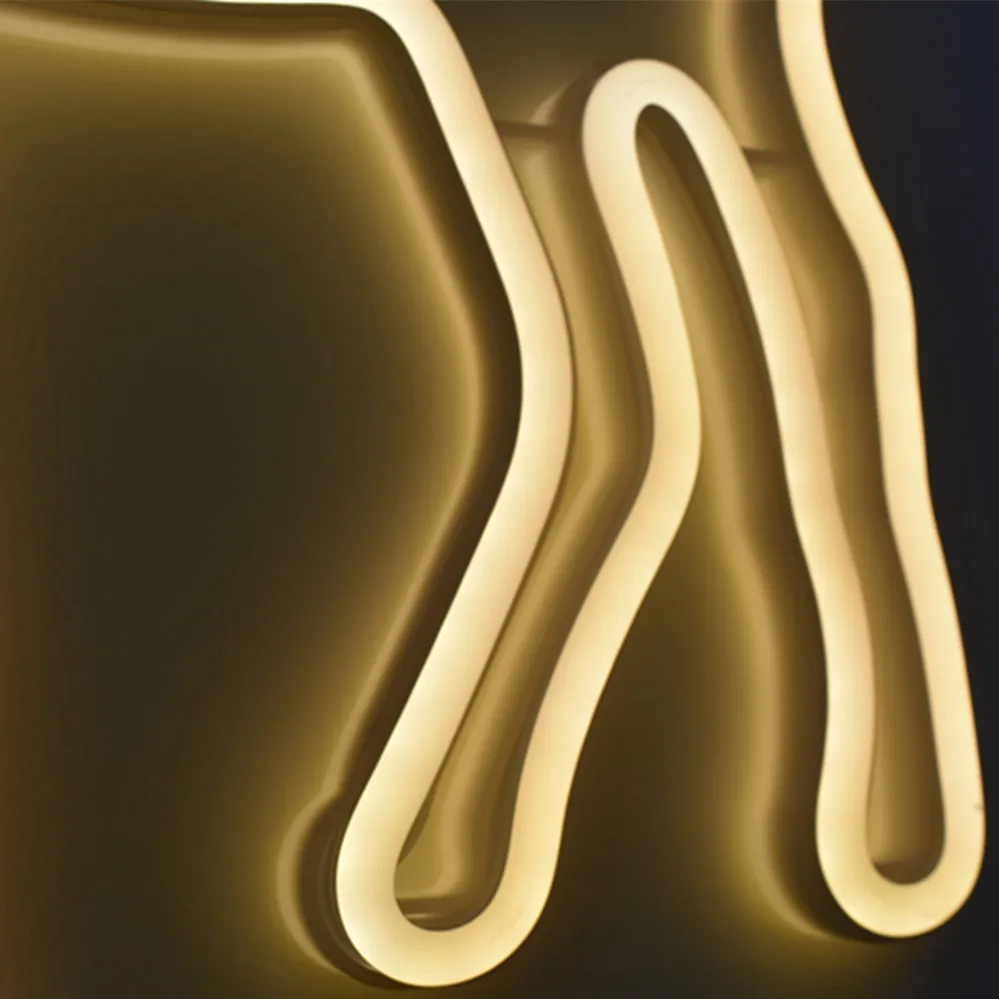 America CE SAA standard neon rope light led reindeer motif  lights