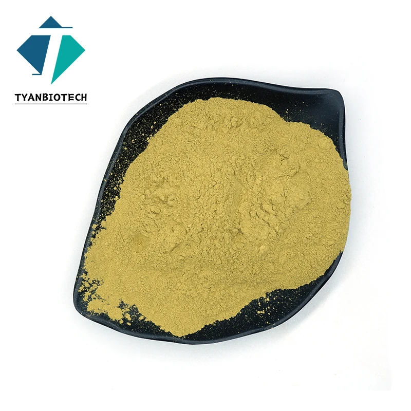 Factory Supply Top Quality High Purity Corn Gluten Meal Bulk Food Grade Corn Protein