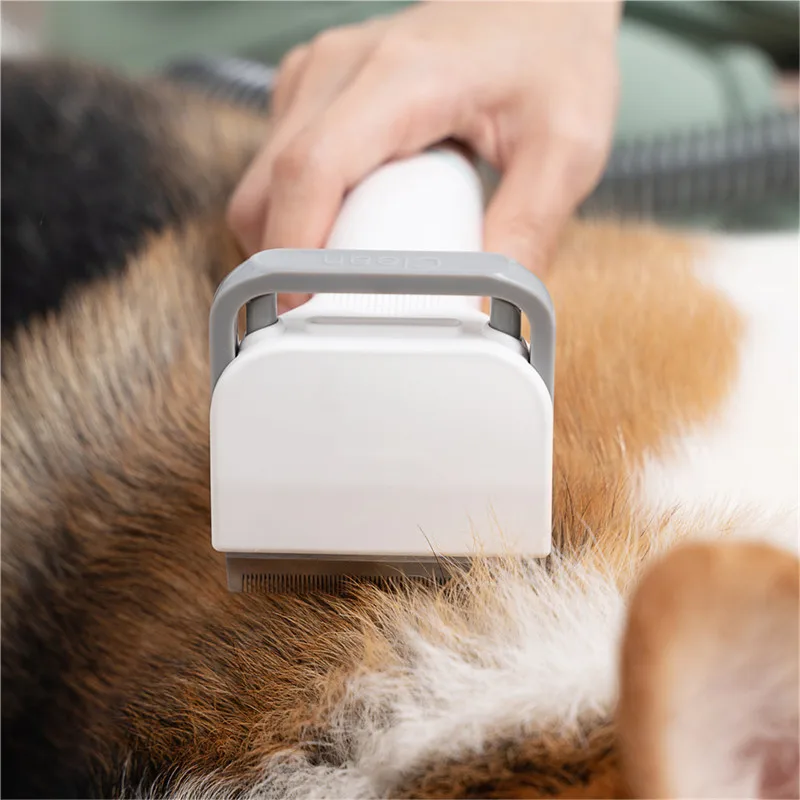 Pet hair Vacuum Suction Grooming Kit with 5 Professional Grooming Shedding Tools for Dogs Cats pet hair remover