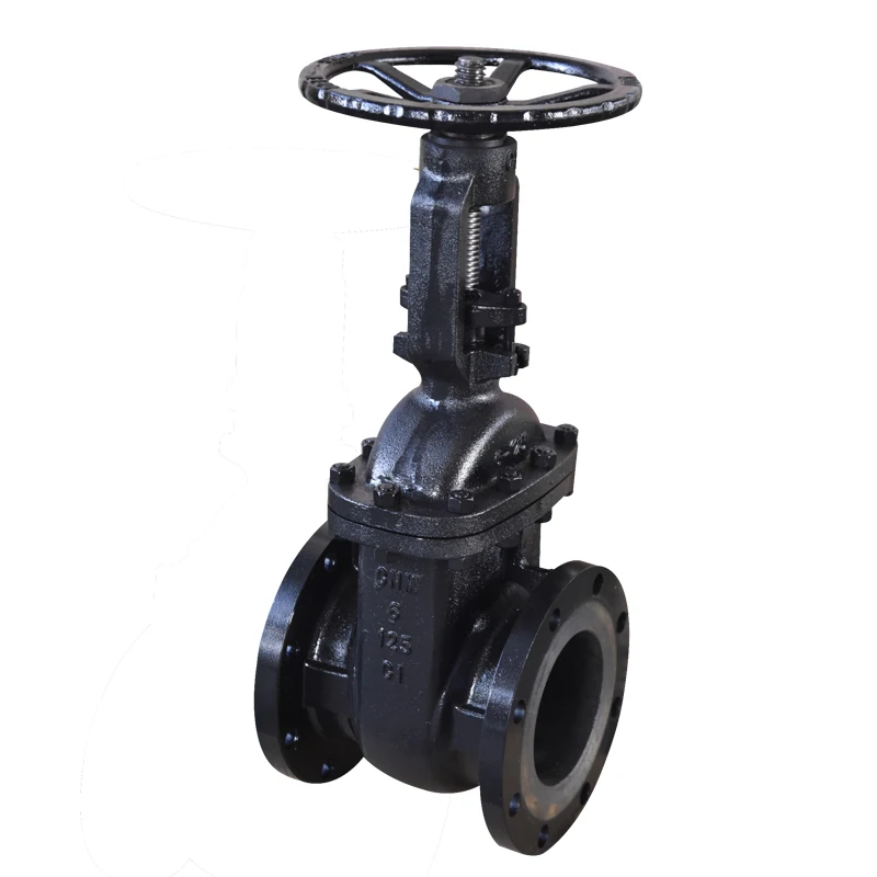 
DN2'-12' cast iron gate valve with bronze seal and F6 Stem2-12inch 