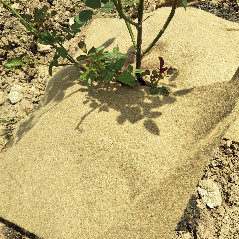 50*50cm Natural Jute Mat Tree Mulch Keep Soil Moisture 100% Biodegradable Jute Mulch Mat for Weed Control