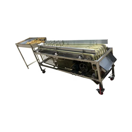 Automatic Fruit longan Red olive sorting selection machine