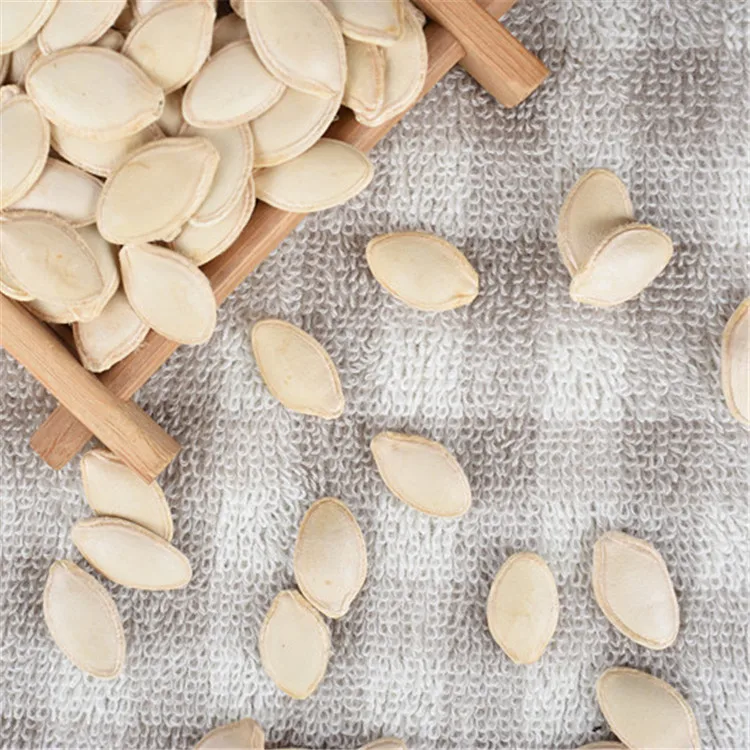 
2019 new crop chinese Inner mongolian lady nail pumpkin seeds 